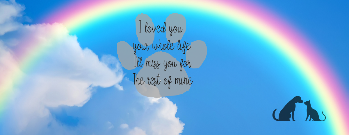 8th Annual Sophie's Circle Rainbow Bridge Walk